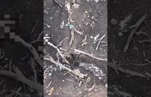 Russian Soldier Panicking from Drone Bombs