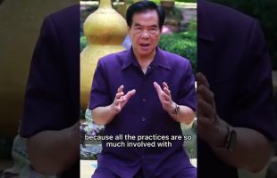 Inner Alchemy: teach your organs to work as a team through Taoist practices. Master Mantak Chia☯️