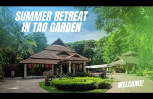 Reclaim your health, inner peace and longevity. Summer Retreat 2022 in Tao Garden with Mantak Chia🙏🏻