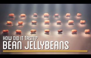 How Did the 100% Bean Jelly Beans Taste?