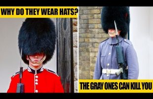 The Queen’s Guards Secrets. They Don’t Want You to Know About Them