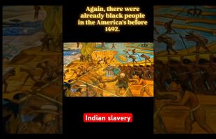 Caribbean American Indians Taken as Slaves to Europe and Called Negros #hawah