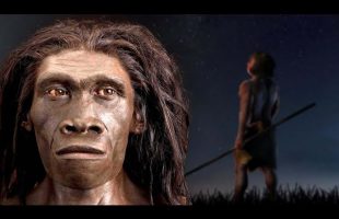 A Brief History Of The Most Successful Human Species: Homo Erectus