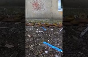 Questionable Mines in Ukraine