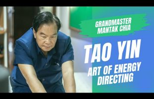 ☯️ What is Tao Yin? Taoist art of energy directing with Grandmaster Mantak Chia🙏🏻
