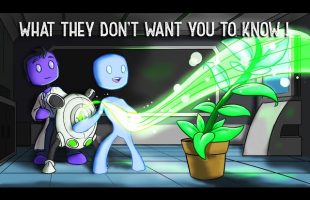 The Backster Effect: Secrets of the Source Field