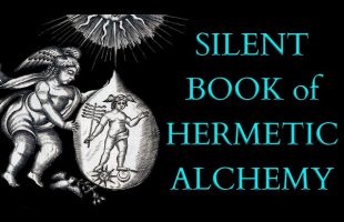 Mutus Liber – The Wordless Book of Alchemical Transmutation – Analysis of Alchemy from 1677