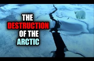 Arctic War: No fish in the sea | ICE RACE | Full Episode 2