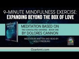 9 Minute Guided Practice Expanding Beyond the Box of Love
