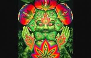 Terence McKenna ~ Inspiration Through Cannabis.