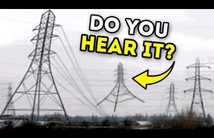 80% of People Hear Sounds in This Gif. And You?