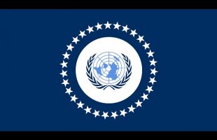 The UN Plans: Norman Grigg – Bill Cooper