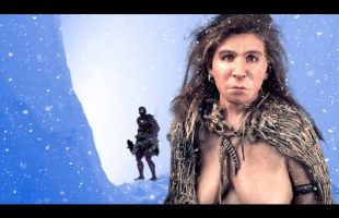 A Brief History Of How Homo Sapiens Survived The Last Ice-Age