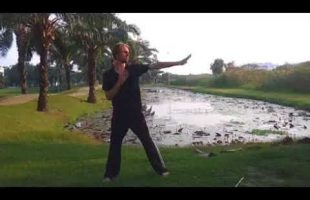 Wing Chun Third Form – Bil Gee – Thrusting Fingers