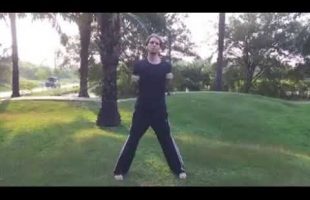 Wing Chun Second Form – Chum Kiu – Seeking the Bridge