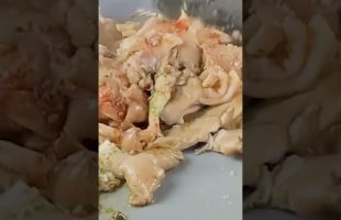No Chick’n Caesar Wrap