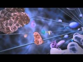 Life – Joe Rogan, Jason Silva, Terence McKenna, Alan Watts