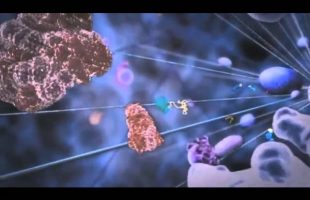 Life – Joe Rogan, Jason Silva, Terence McKenna, Alan Watts