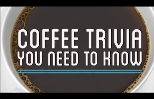 Coffee Trivia You Need to Know! | Simply Complex Pod