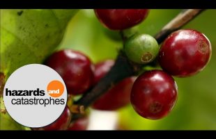 Supermarkets adapting to a New Reality | Documentary
