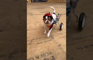New Guy Accident Update
