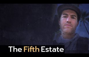 Murder investigation in the jungle – The Fifth Estate