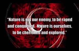Terence McKenna – Amazing Quotes