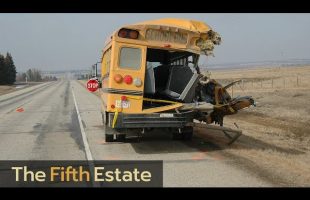 Why are there no seat belts on school buses? – The Fifth Estate