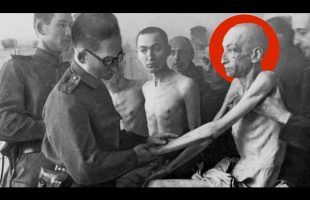 A Day In The Worst Nazi Concentration Camp | Auschwitz–Birkenau