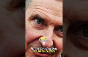More Advanced Life Advice by Mafia Boss