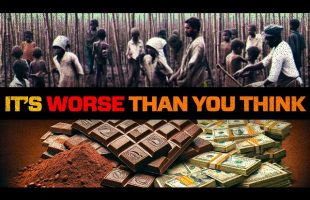 The Dark Side of the Chocolate Industry