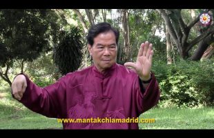 Tai Chi Qi Gong by Master Mantak Chia
