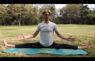 Relaxing Full Body Yoga Stretching Lesson