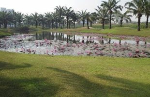 Beautiful Peaceful Thailand Park