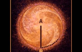 Terence McKenna – You Are A Divine Being