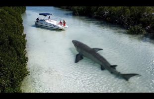 Incredible Moments Caught on Camera