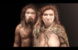 A Day In The Life Of A Neanderthal