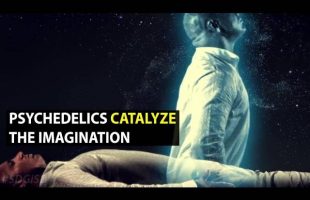 The Imagination (Terence McKenna)