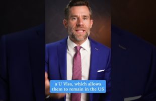 DeSantis Migrant Stunt Backfires #shorts