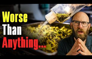 Spice: The Synthetic Drug Destroying Lives (REDO)