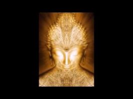 Where do the ideas come from? (Terence McKenna)