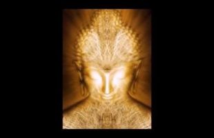 Where do the ideas come from? (Terence McKenna)