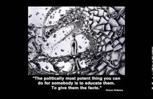 Educational Forestalling of Change (Terence McKenna)