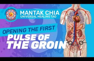 Opening the First pulse of the groin by Mantak Chia