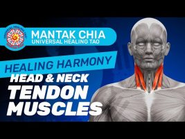 Healing Harmony : Head & Neck Tendon muscle by Mantak Chia