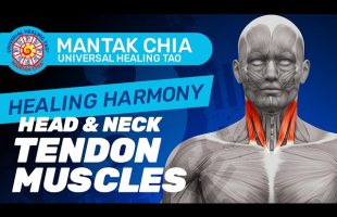 Healing Harmony : Head & Neck Tendon muscle by Mantak Chia