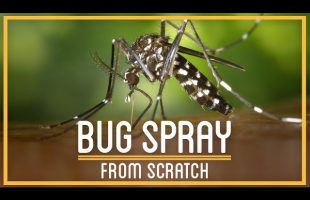 How to Grow Bug Spray