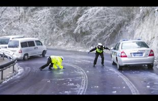 No Rules. No Logic. Just Road Madness.
