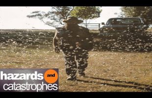 Return of the Bible Plagues Part 4: Locusts | Full Documentary