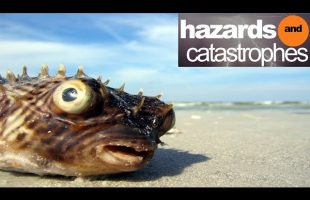 Return of the Bible Plagues Part 1: Deadly Waters | Full Documentary
